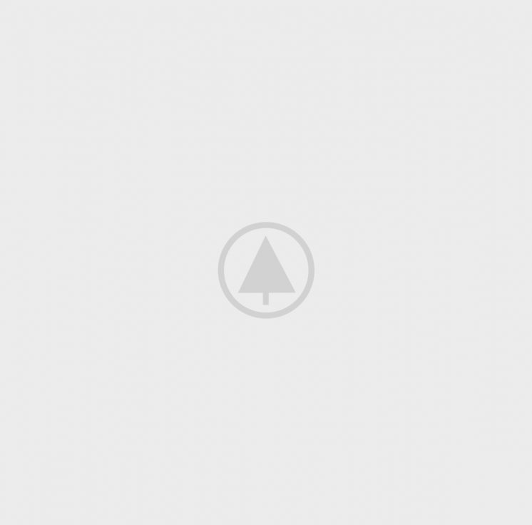 wood-gallery-placeholder-4 wood-gallery-placeholder-4